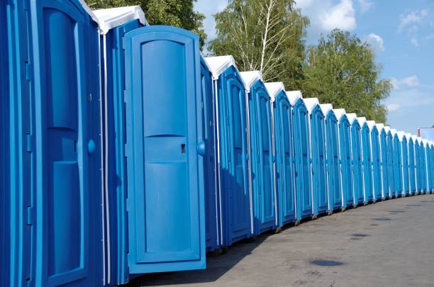 Best Sanitation services for porta potties  in Green Village, NJ